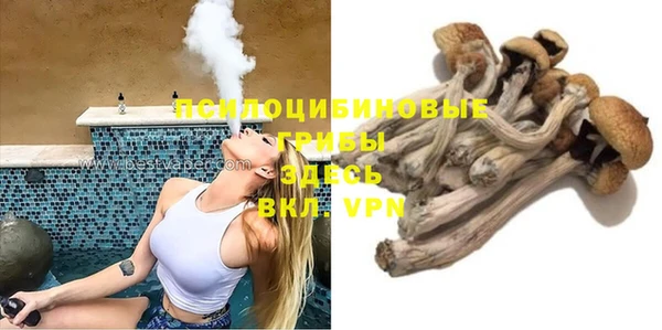 твердый Вяземский